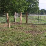 Metal gates and fencing