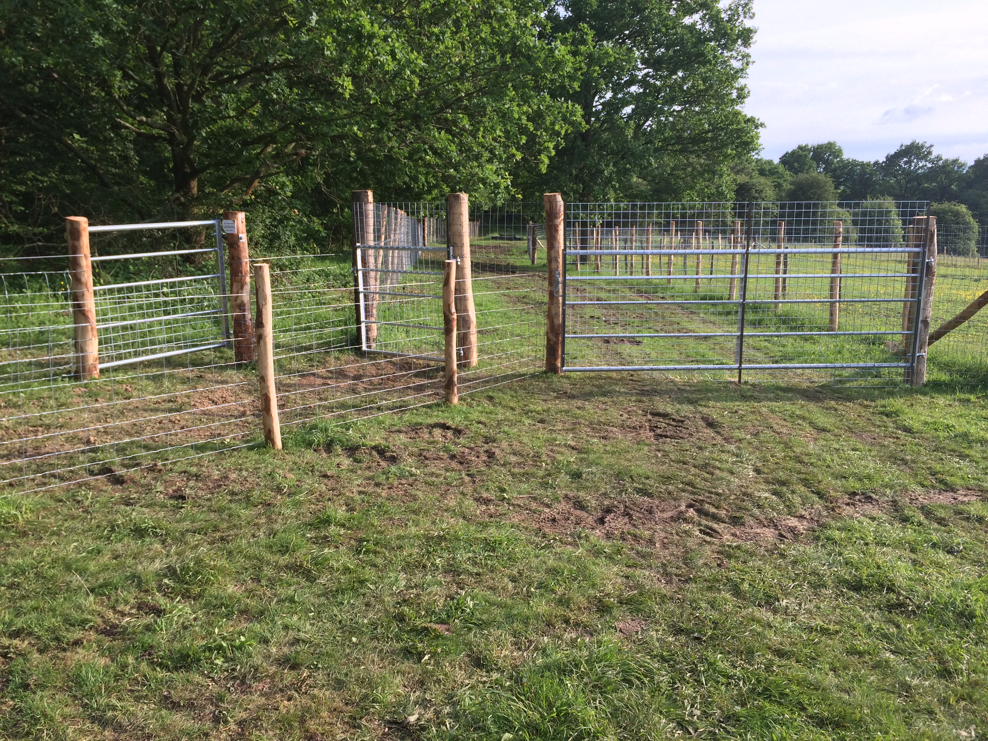 Metal gates and fencing