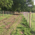 Stock fencing along a track