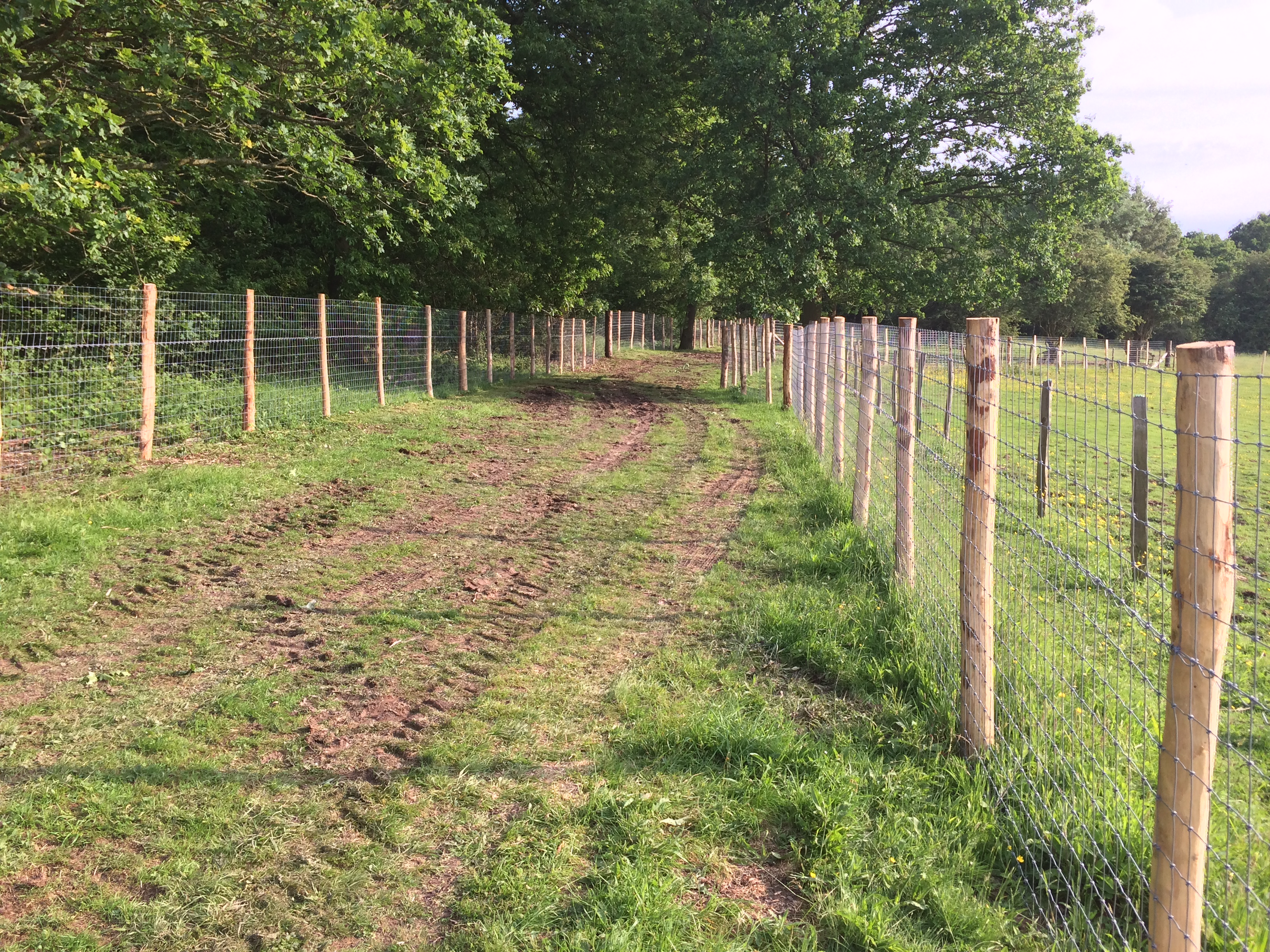 Stock fencing along a track