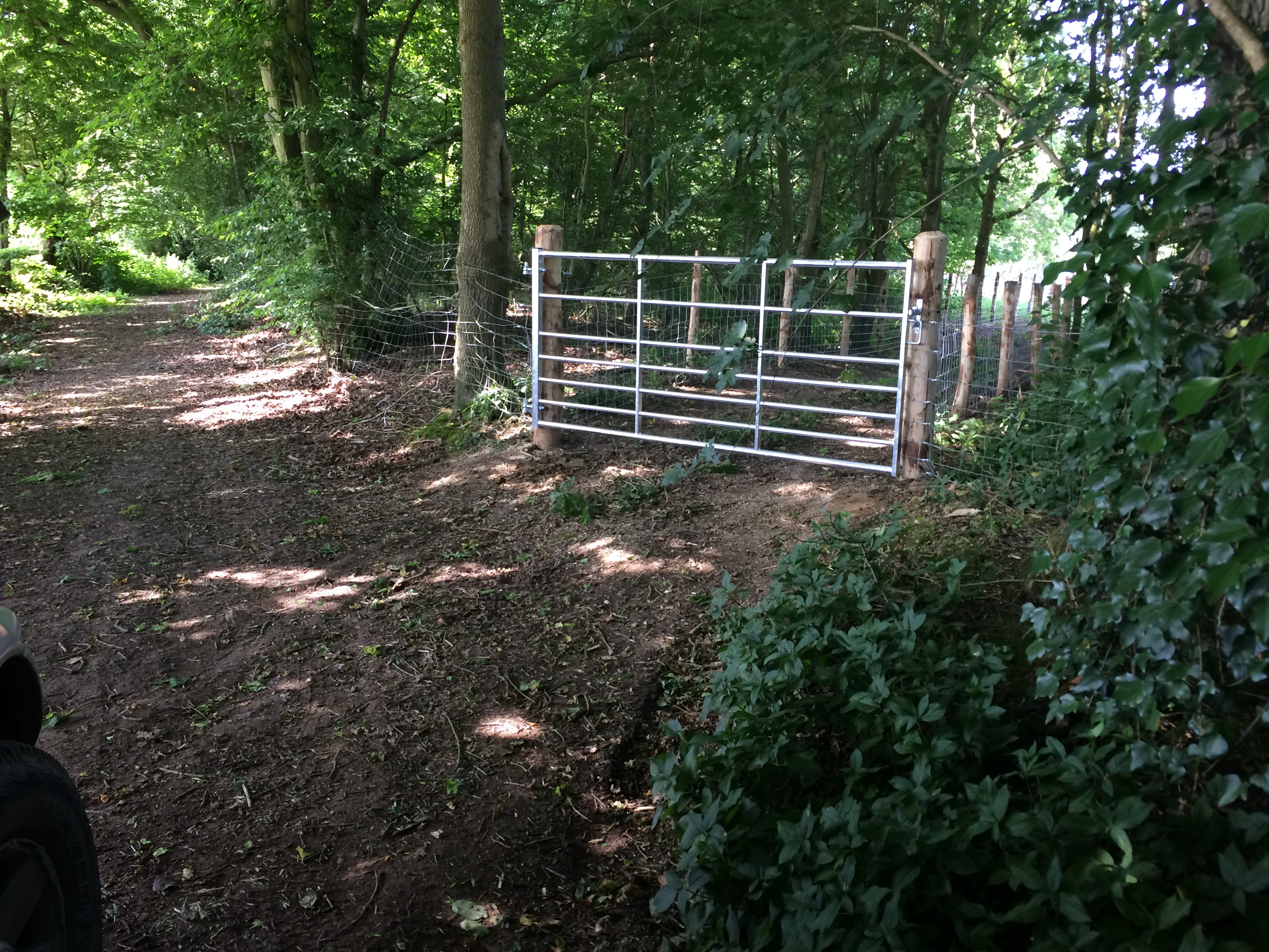 Metal gate and fencing