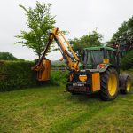 Cutting a beech hedge