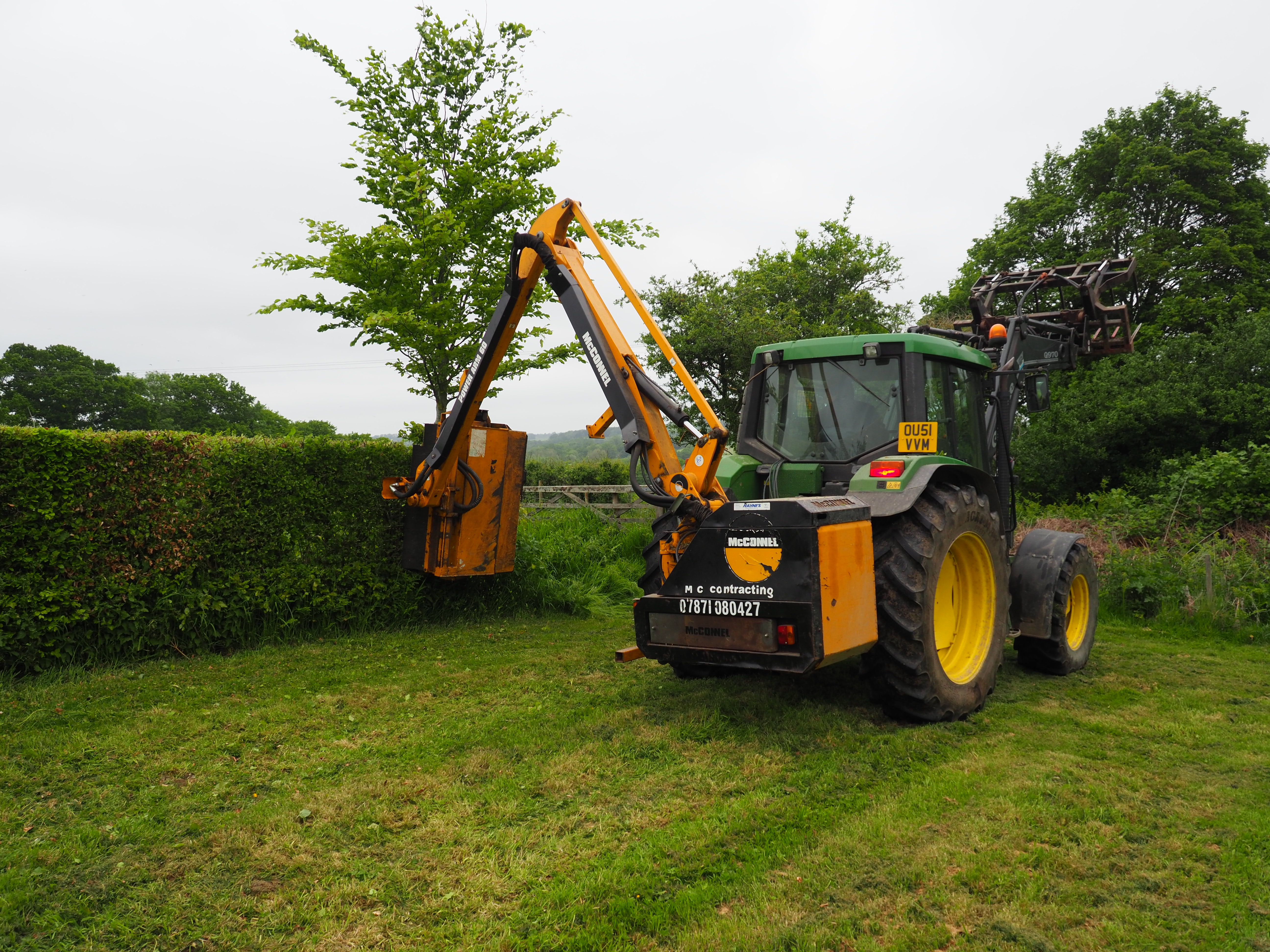 Cutting a beech hedge