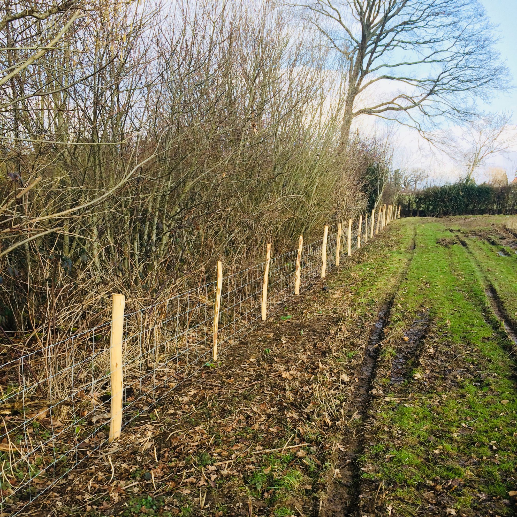 Stock Fencing