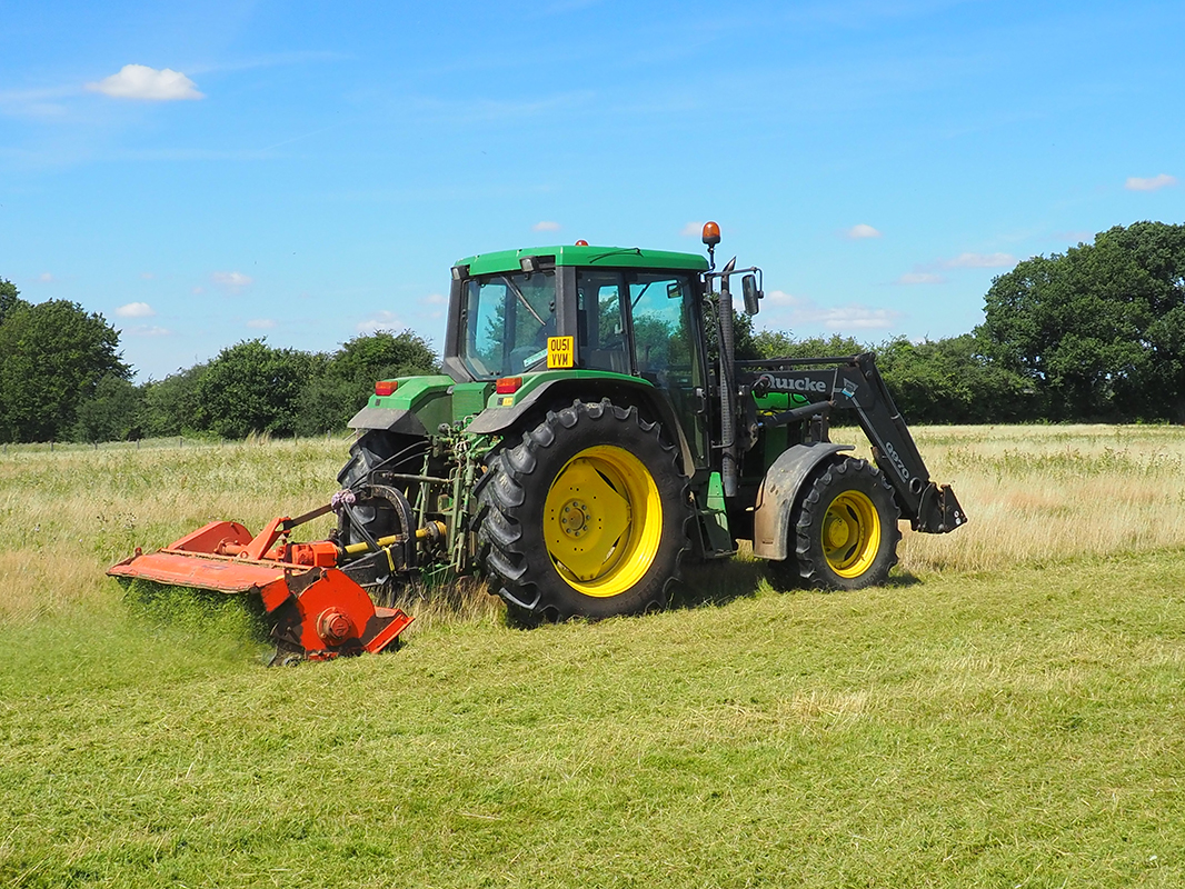 Topping thistles